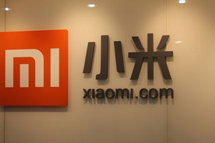 路飯網播報 小米特色功能引關注，Google AdSense廣告業務意外受干擾
